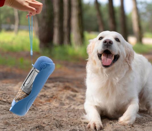 All in One Portable Pet Bottle